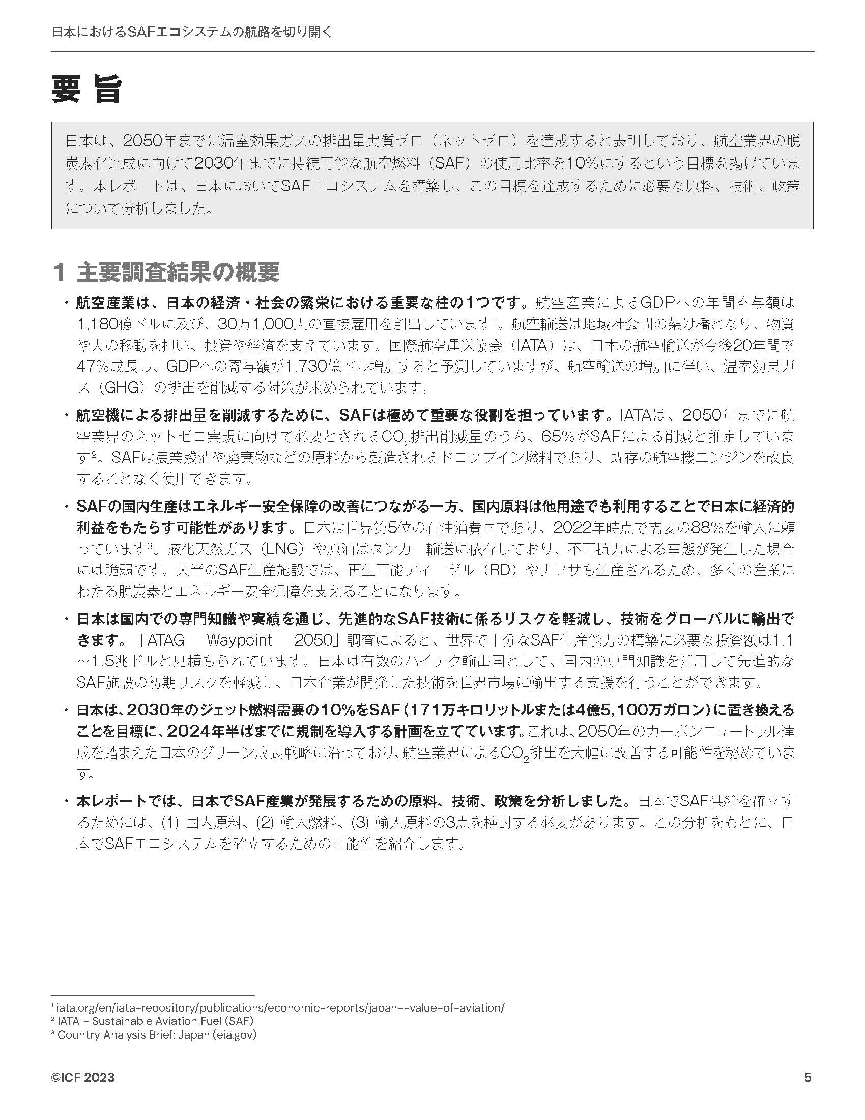 報告書要旨（日本語）