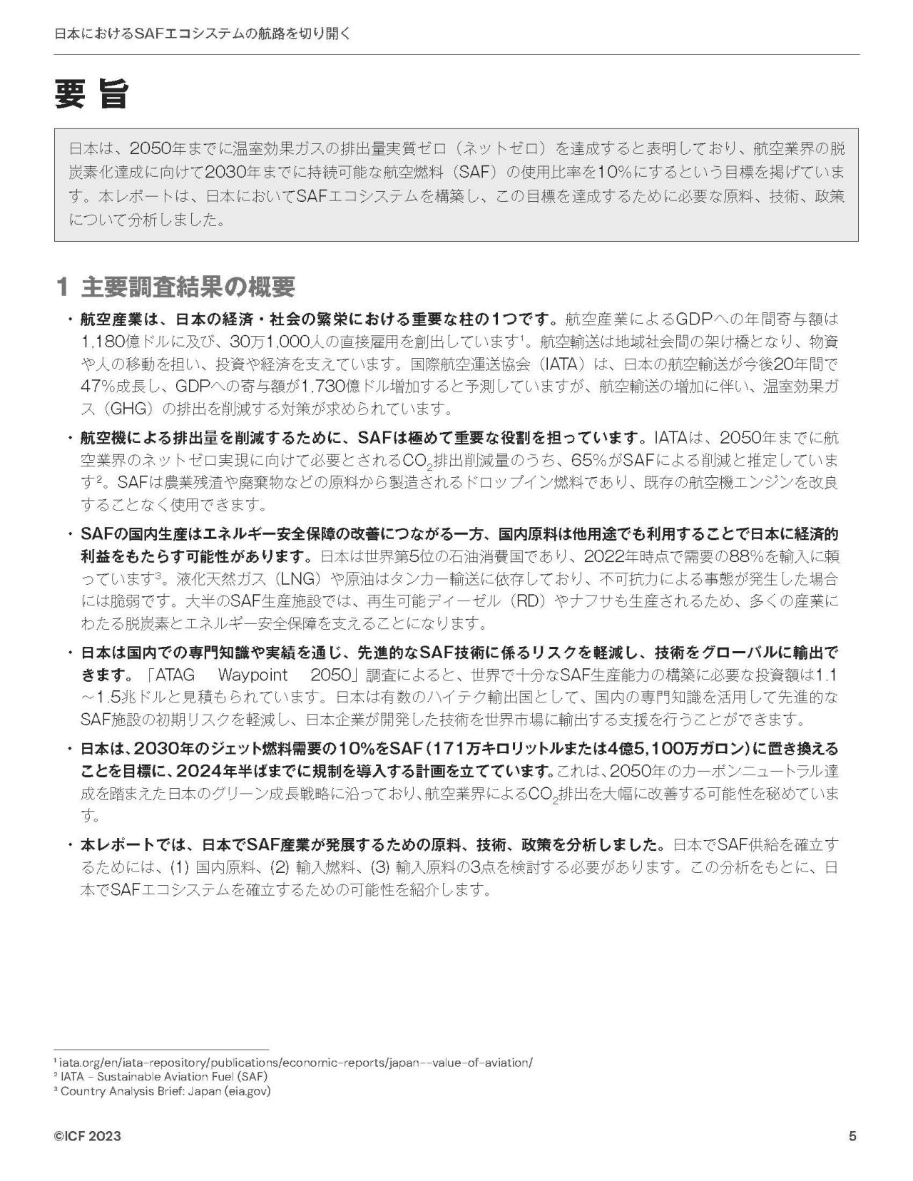 報告書要旨（日本語）